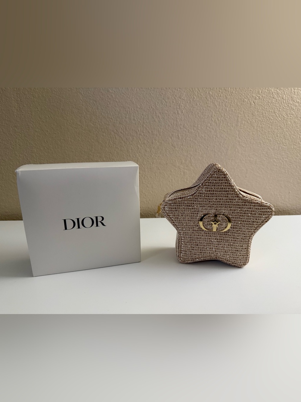 Dior Pouch